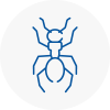 Ant Removals In Blackburn