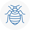 Bed Bug Extermination In Blackburn