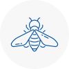 Bee Nest Removal Blackburn