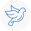 Bird Prevention Blackburn