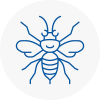 Blackburn Hornet Nest Removals