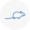 Mice Exterminators In Blackburn