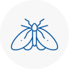 Moth Control Specialists In Blackburn