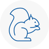 Blackburn Rodent Removals