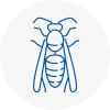 Blackburn Wasp Nest Removal